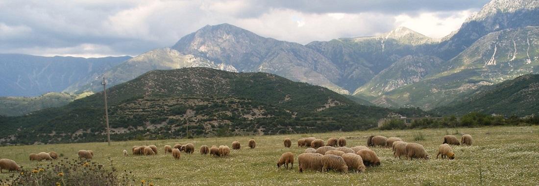 Albania