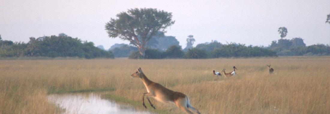 Botswana
